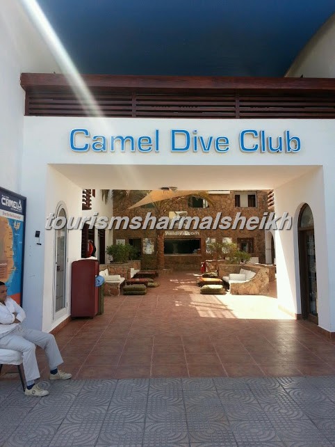 Came.l Dive Club & Hotel1