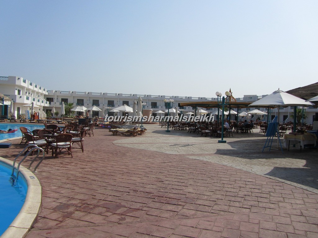 Sharm Cliff Resort منتجع شرم كليف4