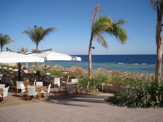 beach-bar-and-restaurant