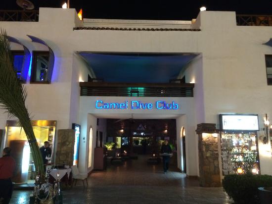 فندق كمل بوتيك شرم الشيخ Camel Dive Club & Hotel