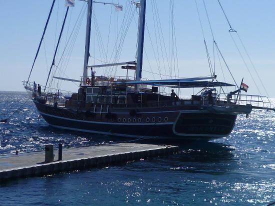 sina-dream-sailing-boat